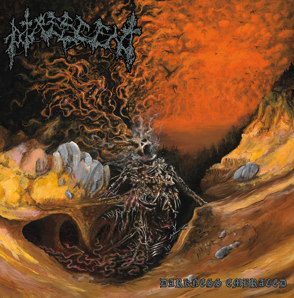 Darkness Embraced [LP] Vinyl Record