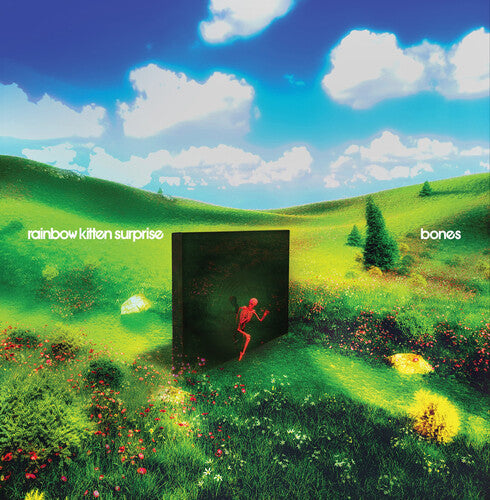 Rainbow Kitten Surprise - bones Vinyl Record