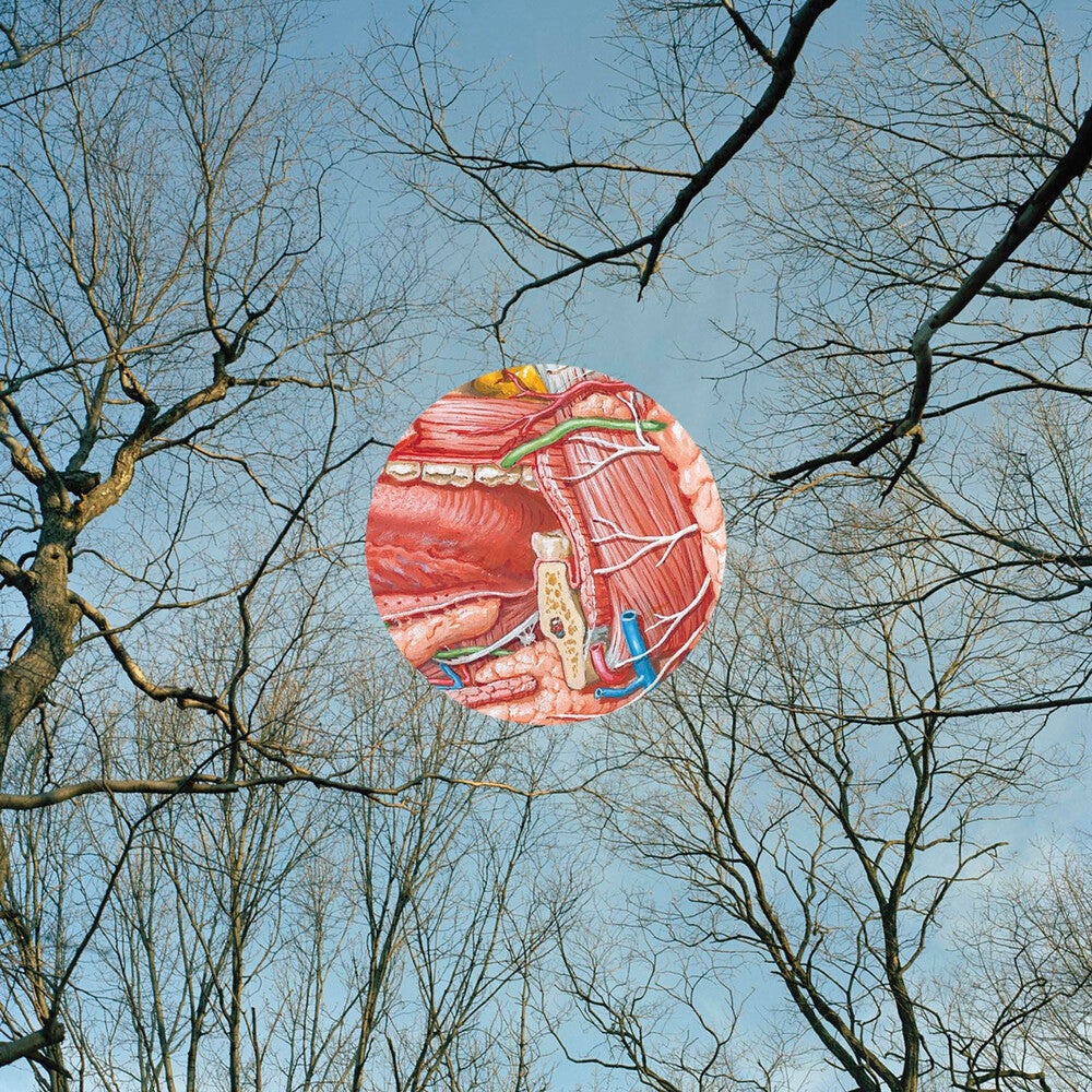 They Might Be Giants - Glean [Clear Vinyl] (Red) Vinyl Record