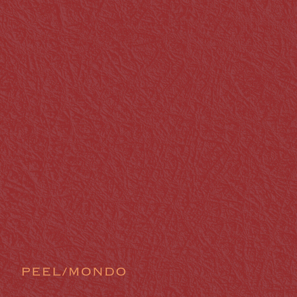 the album cover for Ada Rave - Peel/Mondo