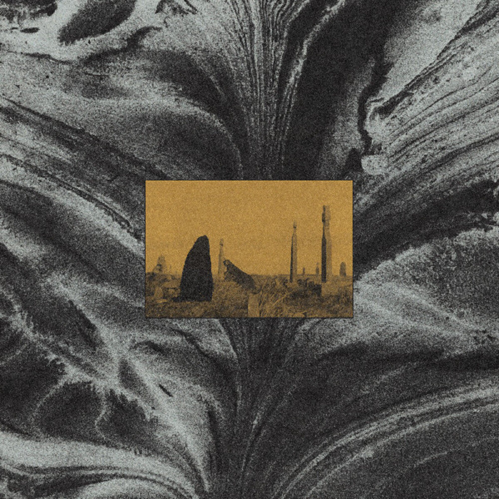 Run (Dicu) [LP] Vinyl Record