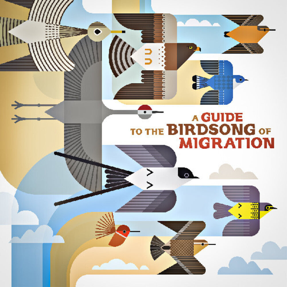 Guide to the Birdsong of Migration / Various - A Guide to the Birdsong of Migration (Various Artists) [LP] Vinyl Record