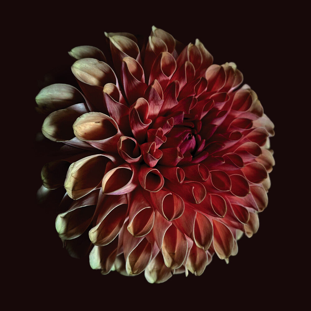 Unfolding [LP] Vinyl Record
