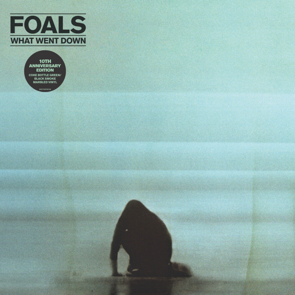 Foals - What Went Down (Aniv) [LP] Vinyl Record