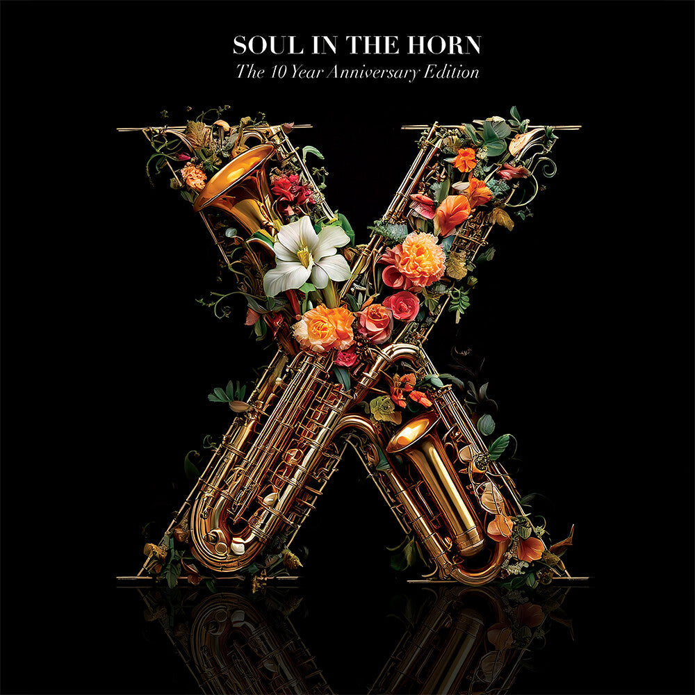 The 10 Year Anniversary Deluxe Edition [LP] Vinyl Record