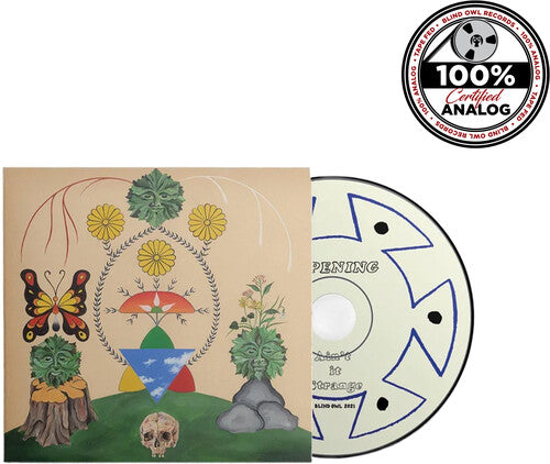 Pope,mike - Ripening (ain't It Strange) - Music CD
