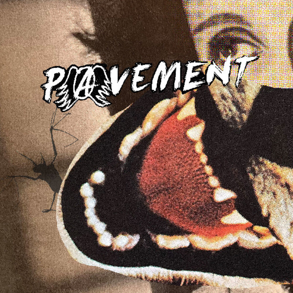 Pavement - Hecklers Choice: Big Gums And Heavy Lifters [LP] Vinyl Record