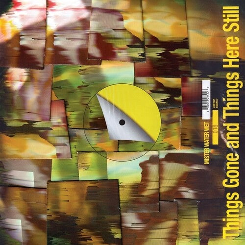Mister Water Wet - Things Gone & Things Here Still - Vinyl Record