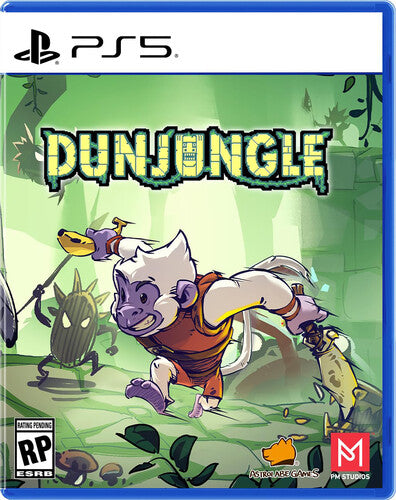 PS5 Dunjungle - Video Game