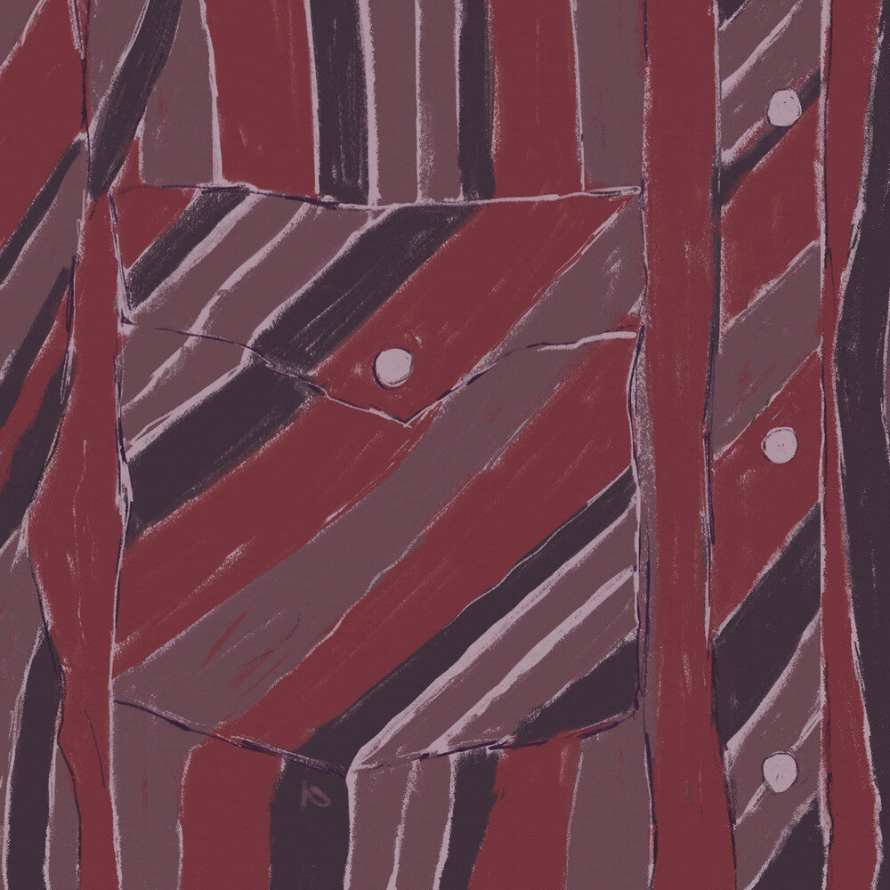 Jake Xerxes Fussell - Rebuilding [LP] Vinyl Record