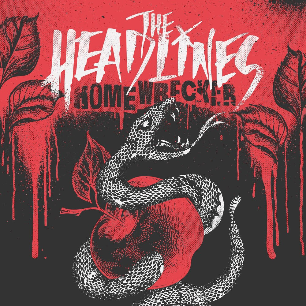 Homewrecker [180 Gram Black/White Marble Swirl] Vinyl Record