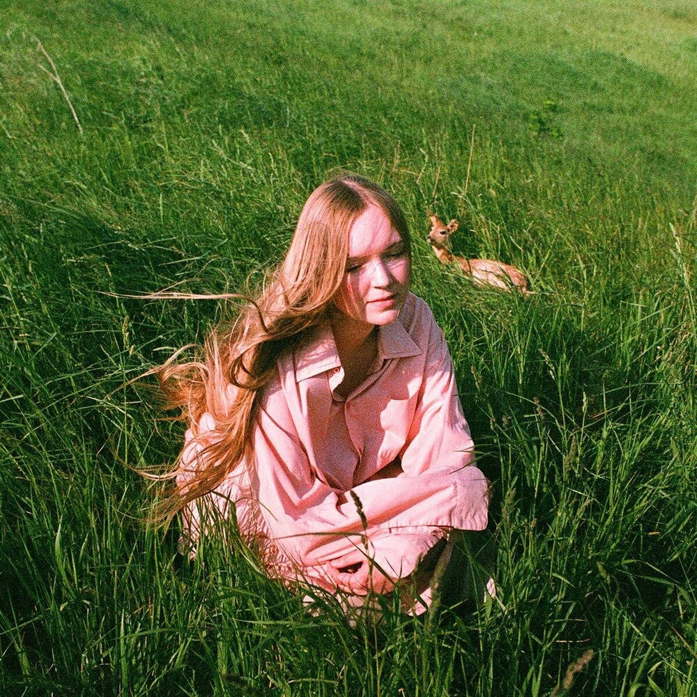 Stay Here Where It's Warm (Can) [LP] Vinyl Record