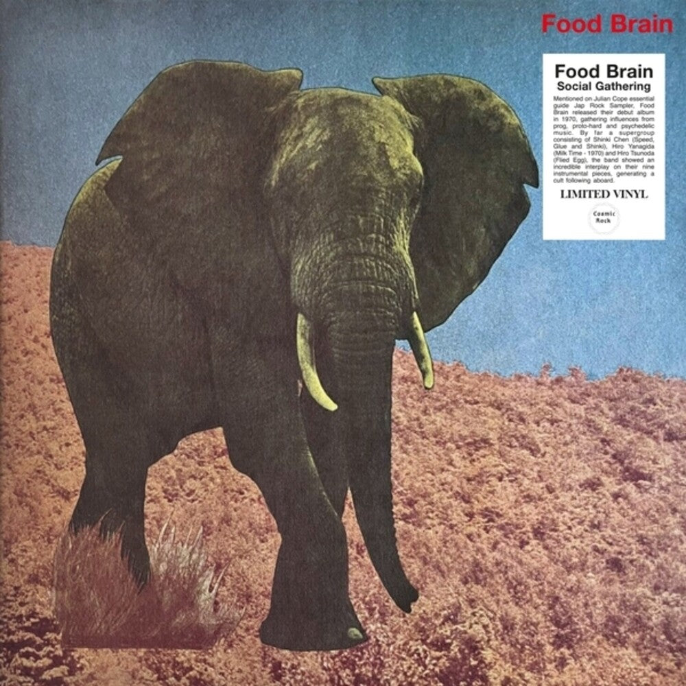Social Gathering [LP] Vinyl Record