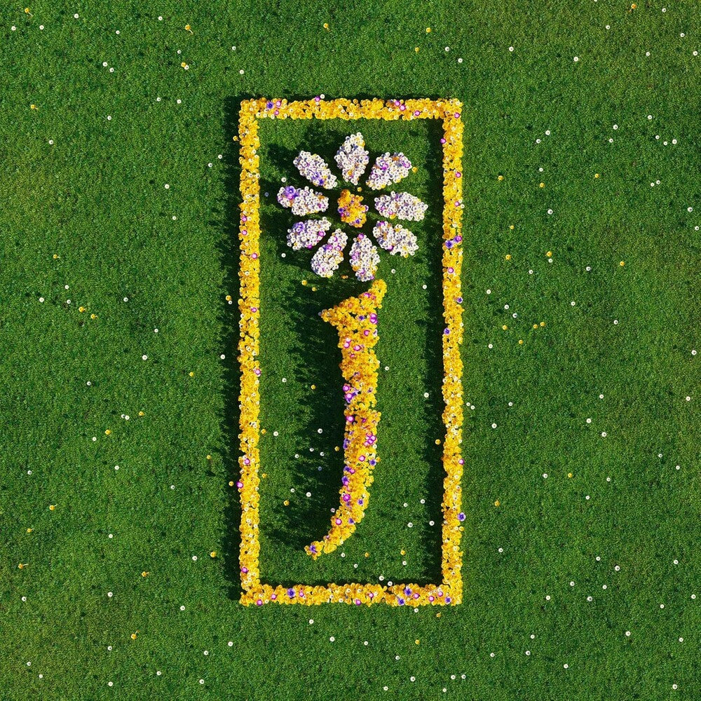 James - Nothing But Love: The Definitive Best Of [LP] Vinyl Record