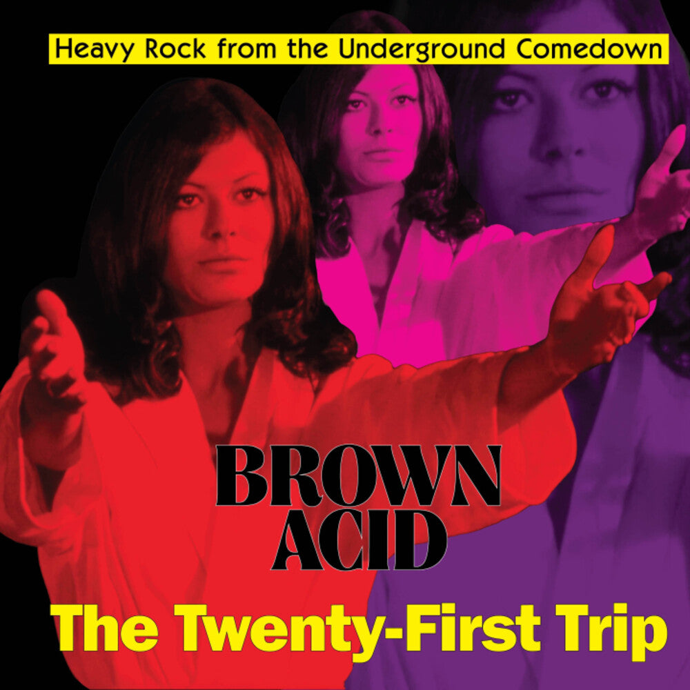 Various Artists - Brown Acid - The Twenty-First Trip [LP] Vinyl Record