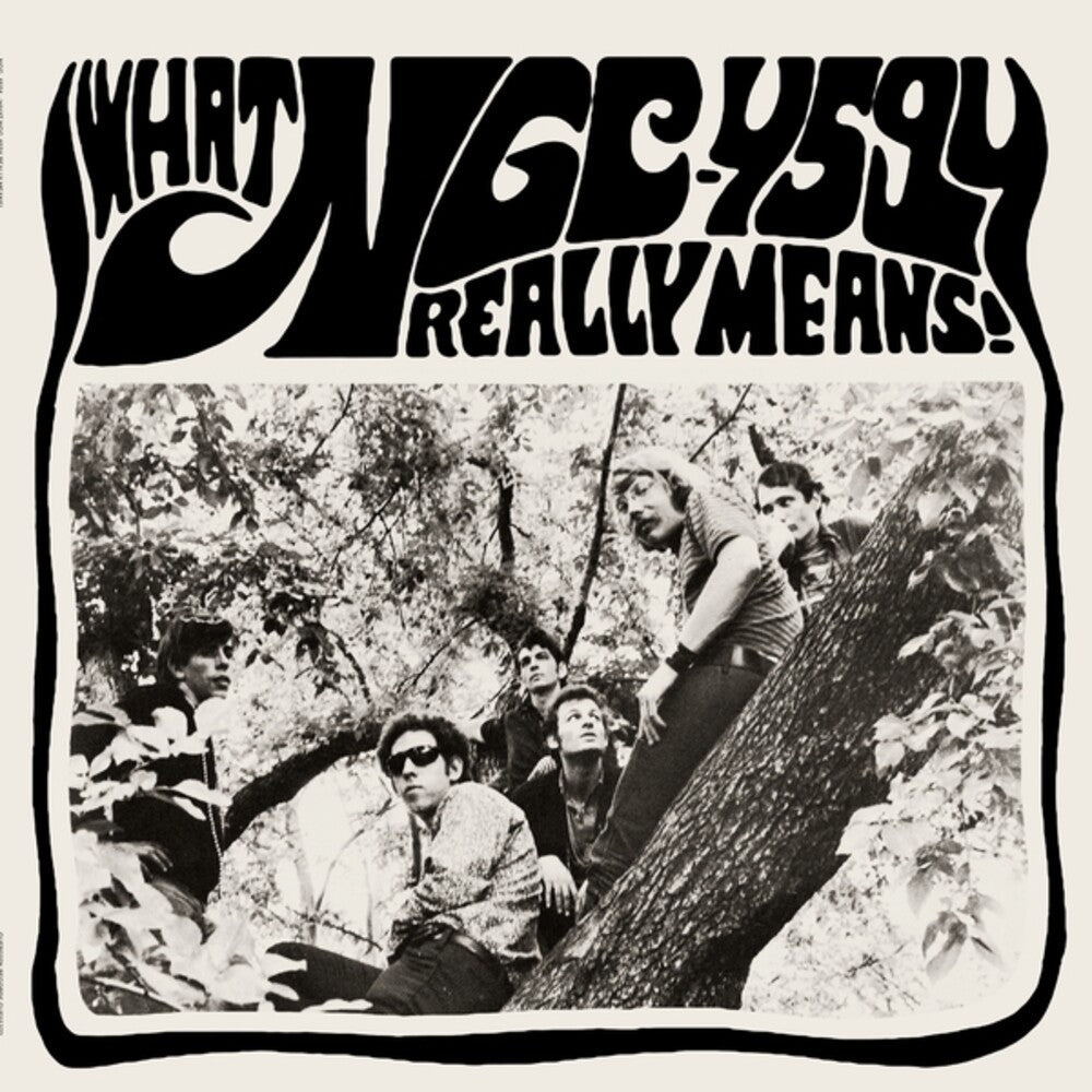 What Ngc-4594 Really Means [LP] Vinyl Record