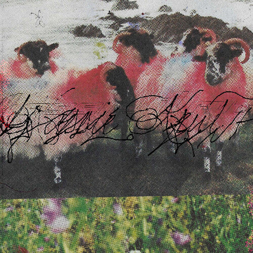 Krut,kassie - Kassie Krut - Vinyl Record