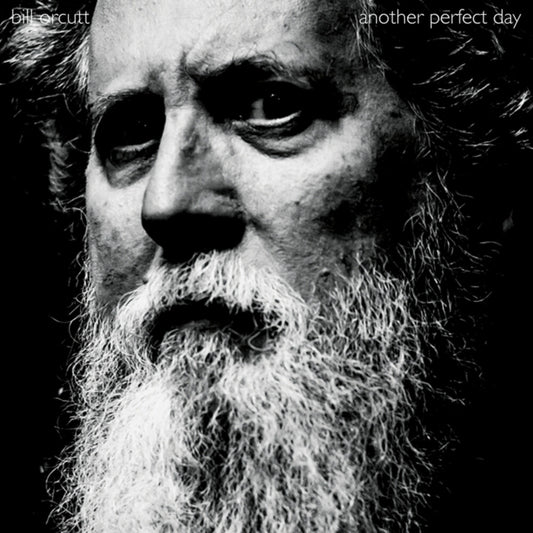 Bill Orcutt - Another Perfect Day [LP] Vinyl Record