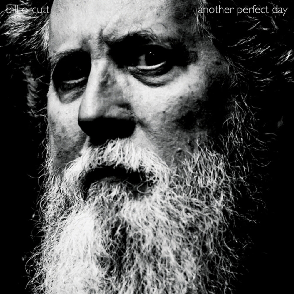 Bill Orcutt - Another Perfect Day [LP] Vinyl Record