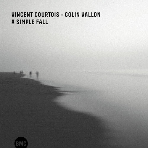 Courtois,vincent / Vallon,colin - Simple Fall - Music CD