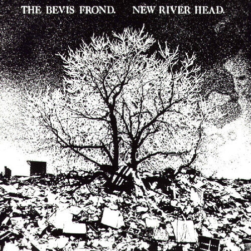 Bevis Frond - New River Head - Vinyl Record