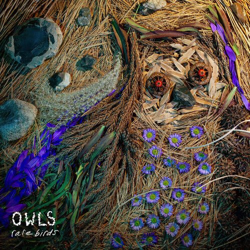 Owls - Rare Birds - Vinyl Record
