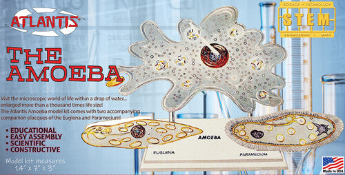 The Amazing Amoeba Stem Model Kit - The Amazing Amoeba Stem Model Kit - Collectibles