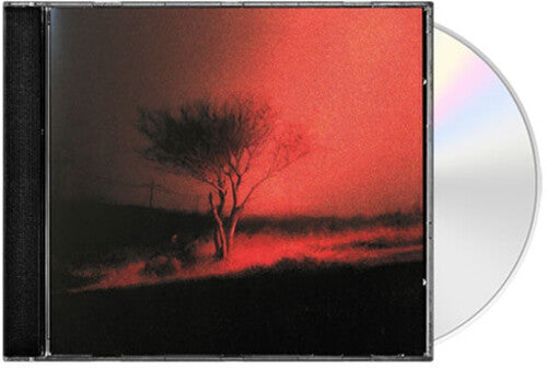Joji - Piss In The Wind - Music CD