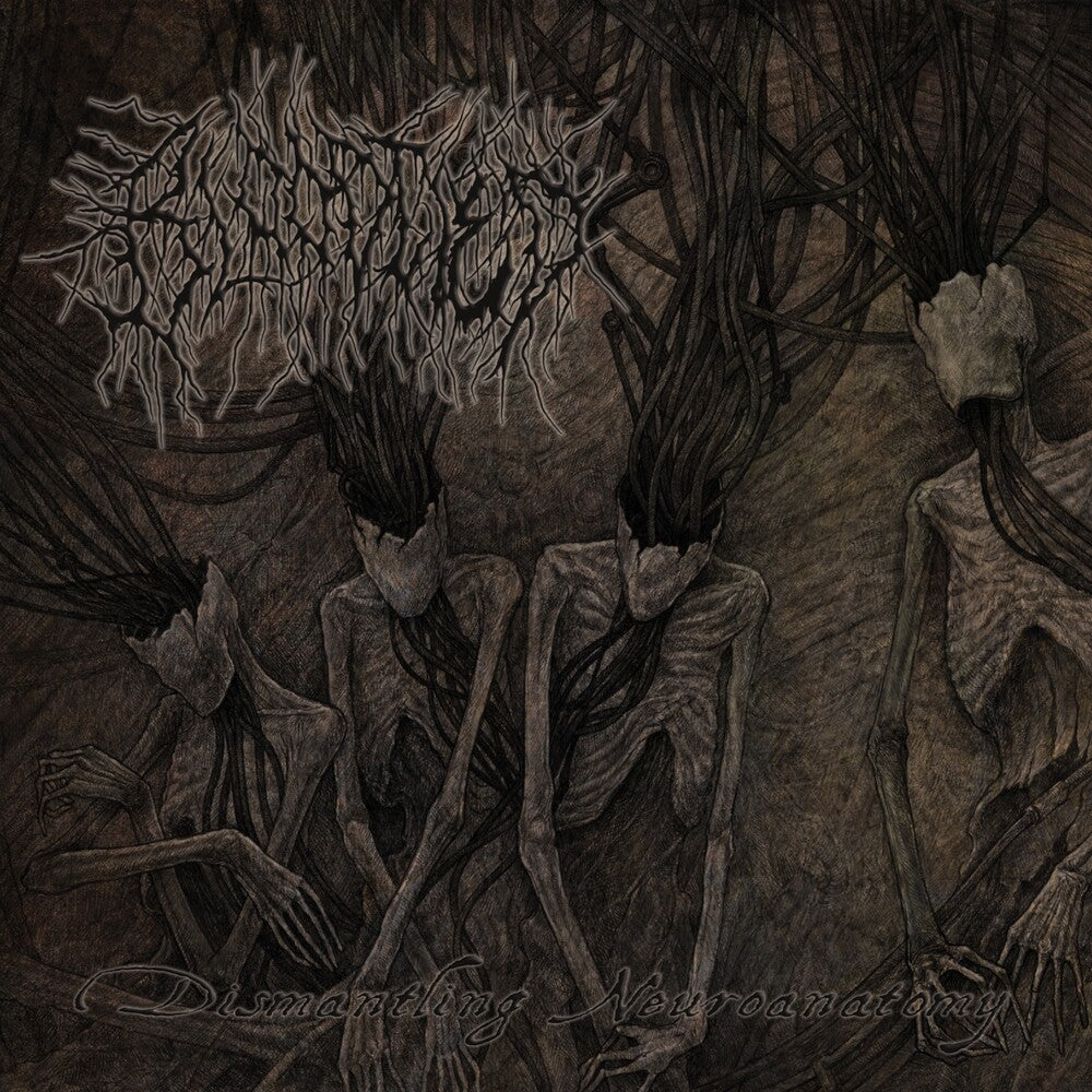 Dismantling Neuroanatomy Music CD