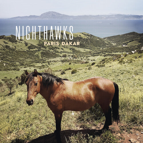 Nighthawks - Paris Dakar - Vinyl Record