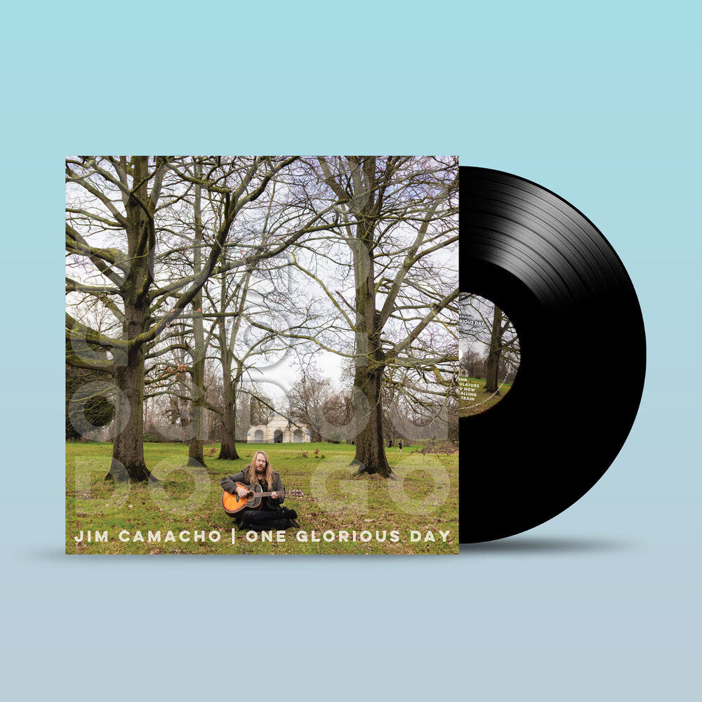 One Glorious Day [LP] Vinyl Record