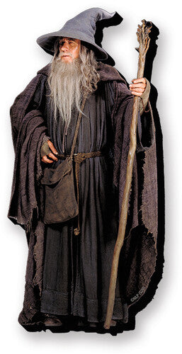 Lord Of The Rings Gandalf Funky Chunky Magnet - Lord Of The Rings Gandalf Funky Chunky Magnet - Collectibles