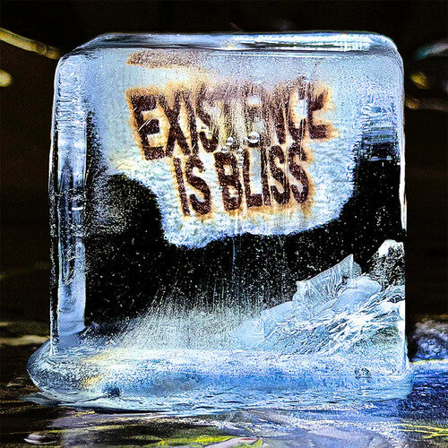 Deadletter - Existence Is Bliss - Vinyl Record