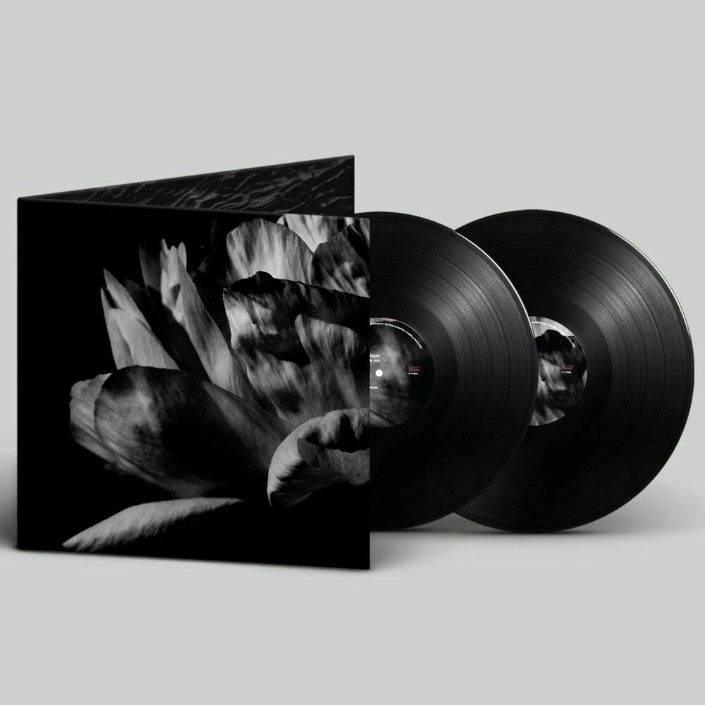 La Ou Passe La Nuit [LP] Vinyl Record