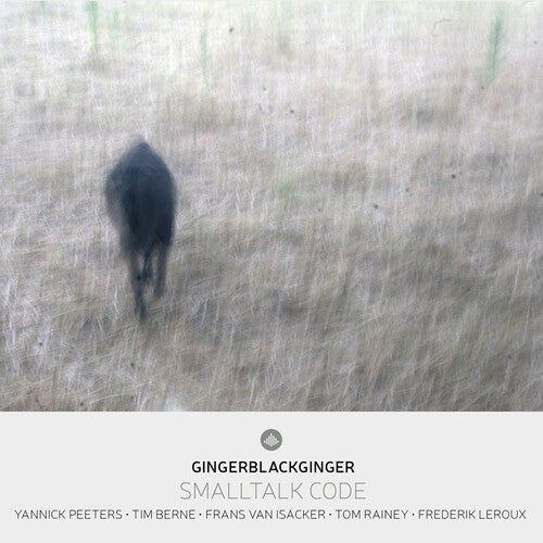 Peeters,yannick - Smalltalk Code - Music CD