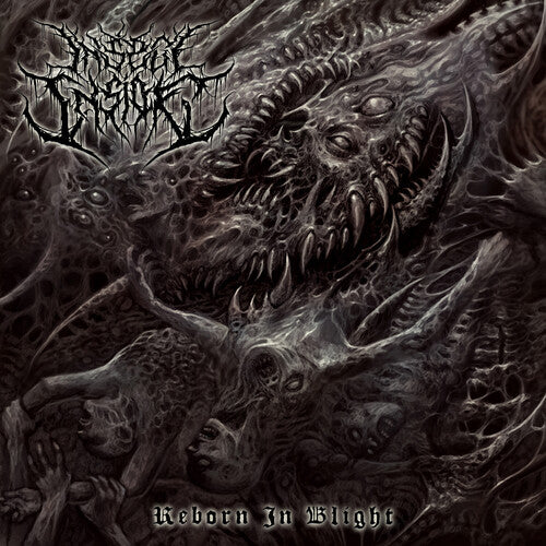 Insect Inside - Reborn In Blight - Music CD