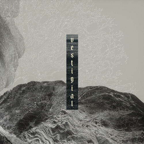 Vestigial - Descending Vastness - Music CD