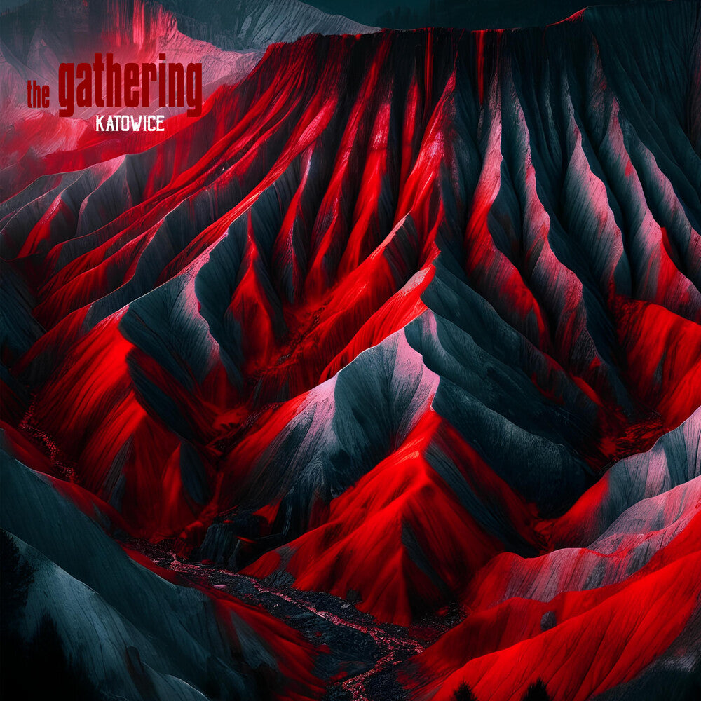 Katowice [Limited Edition] Vinyl Record