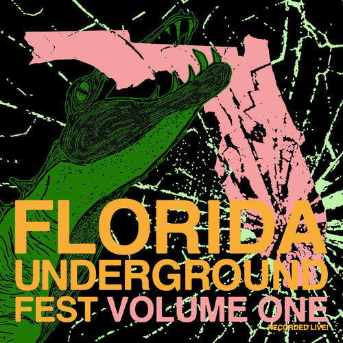 Florida Underground Fest 1 / Various - Florida Underground Fest 1 / Various - Vinyl Record