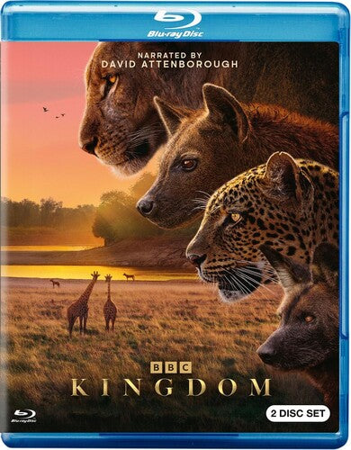 Kingdom - Kingdom - Blu-ray