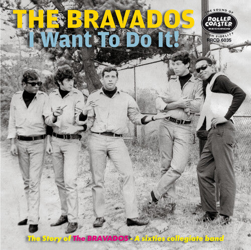 Bravados - I Want To Do It: Story Of The Bravdaos A 60s - Music CD
