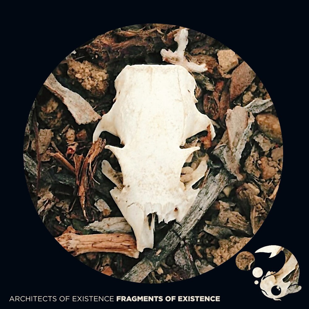 Fragments Of Existence Music CD