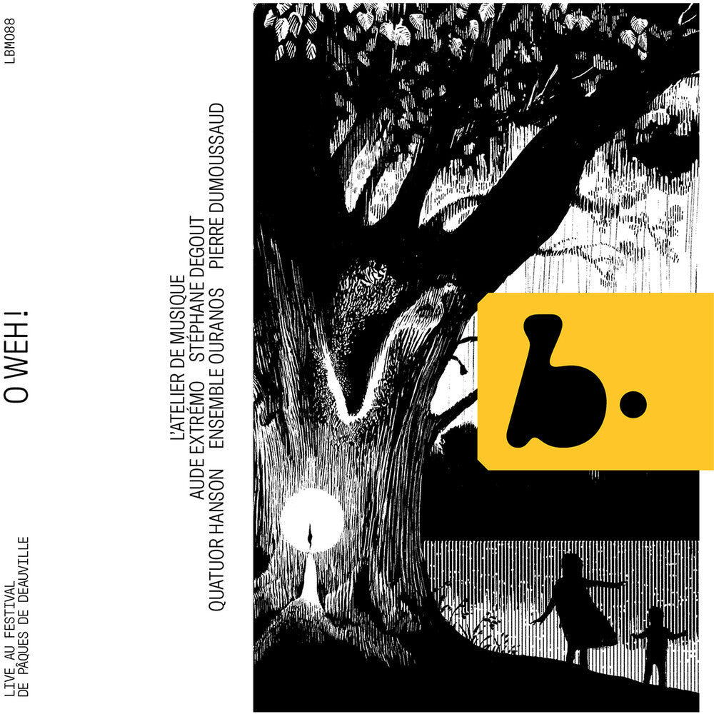 the album cover for Aude Extremo - O Weh!