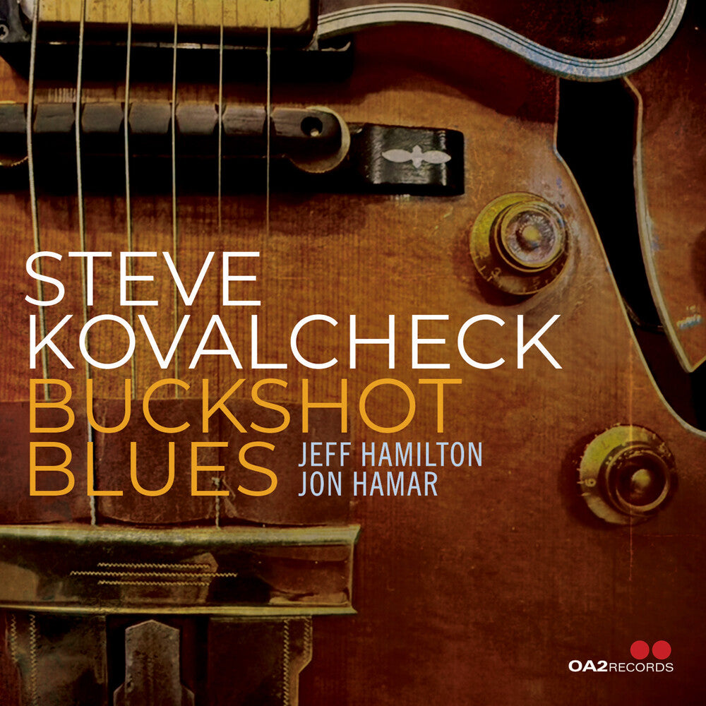 the album cover for Steve Kovalcheck - Buckshot Blues