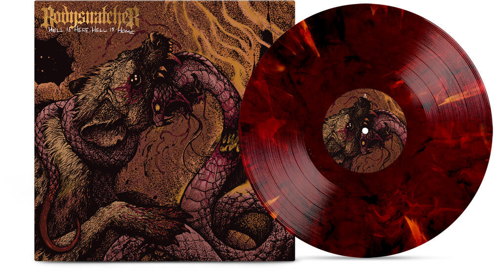 Hell Is Here Hell Is Home [LP] Vinyl Record