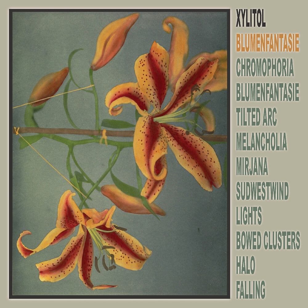 Blumenfantasie [LP] Vinyl Record