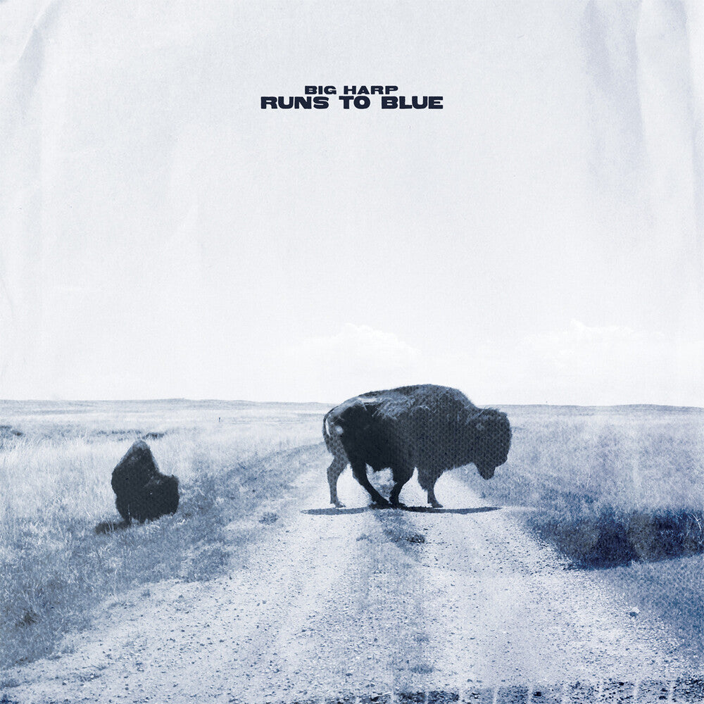 Runs To Blue Music CD