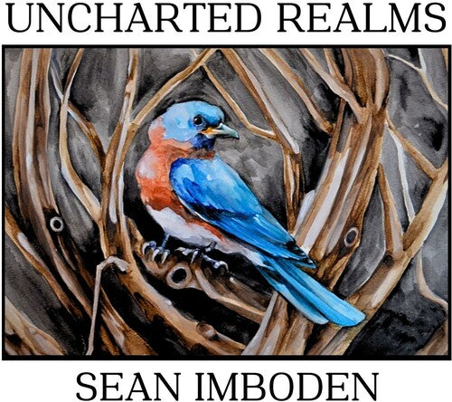 Imboden,sean - Uncharted Realms - Music CD