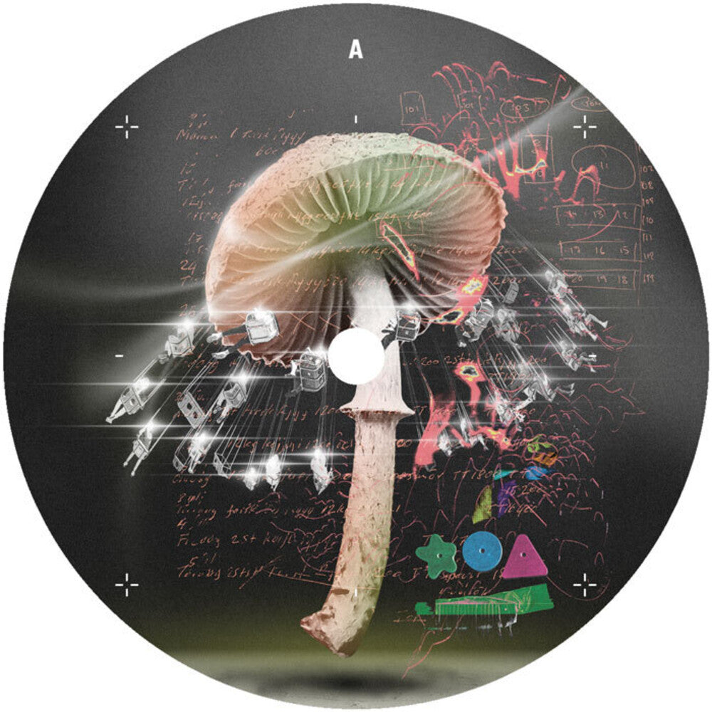 Move 2 The Groove [12" Vinyl] Vinyl Record