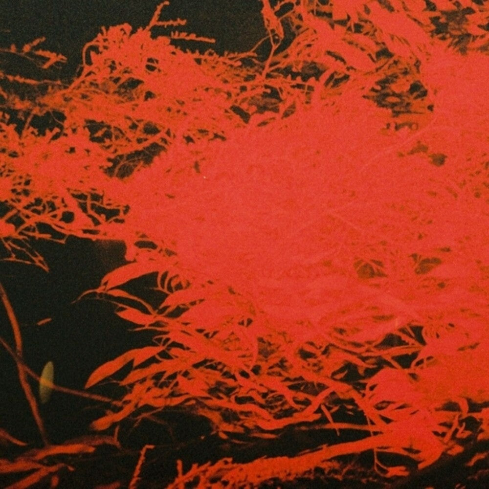 In Studio Magic [LP] Vinyl Record